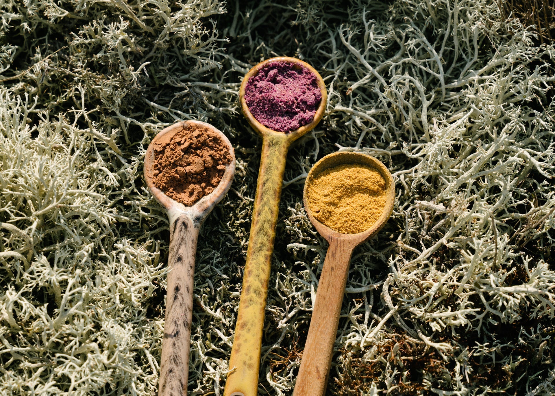 ADAPTOGENIC BLENDS